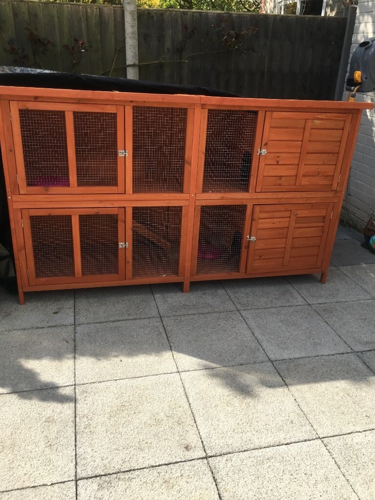 pethonesty calming hemp